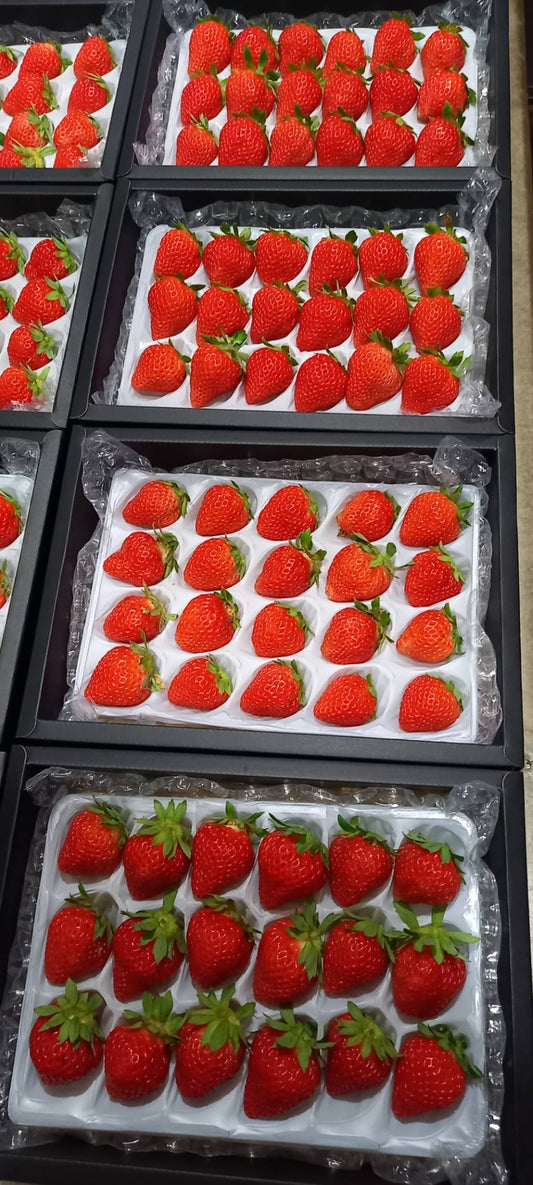 <香美苺>(1パック300g前後)×2パック発送対応用